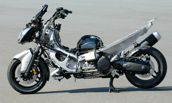 TMax Stripped TMax Stripped
