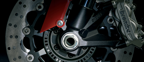 Ducati Monster 1100/S/696/696+/art (10.795-)