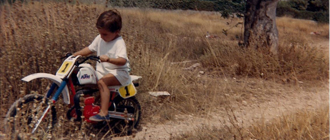 Fau pequeño 1 Fau pequeño 1