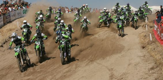 Team_Green_Cup Team_Green_Cup