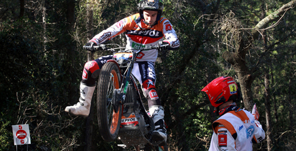 toni bou toni bou