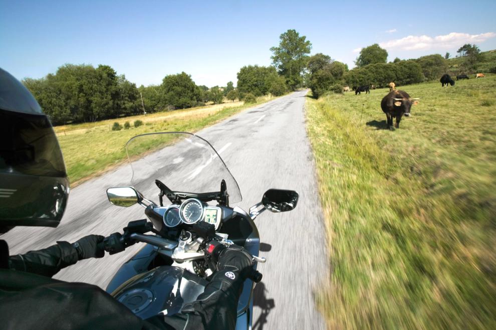 yamaha fjr