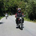 Impalada 2014