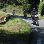 Impalada 2014