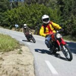 Impalada 2014