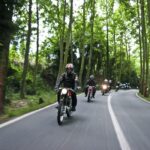 Impalada 2014