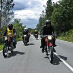 Impalada 2014