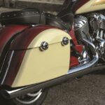 Indian Chieftain bicolor 2015