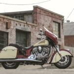 Indian Chieftain bicolor 2015