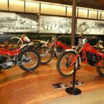 VIVA Montesa (Exposición)