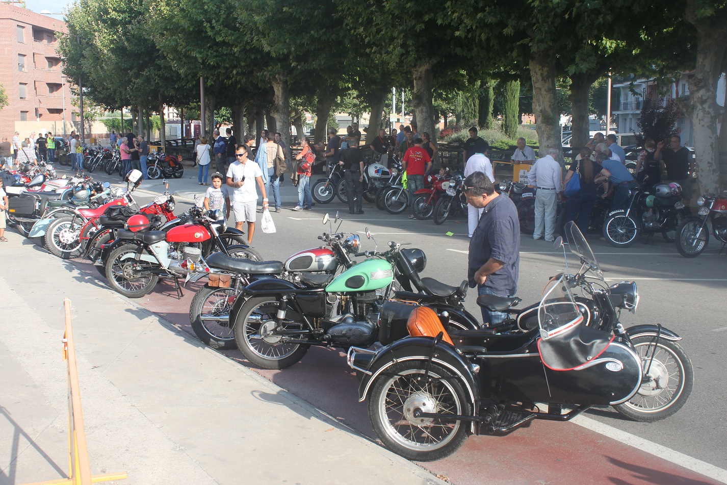 encuentro de moto clasicas ciudad de mollerusa 3