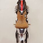 Prueba BIENVILLE LEGACY V4 17 Prueba BIENVILLE LEGACY V4