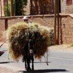 Lápices moteros 2015: una ruta muy especial 139 Lápices moteros 2015: una ruta muy especial