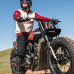 Indian Scout Black Hills Beast