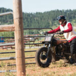 Indian Scout Black Hills Beast