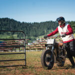 Indian Scout Black Hills Beast