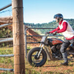 Indian Scout Black Hills Beast