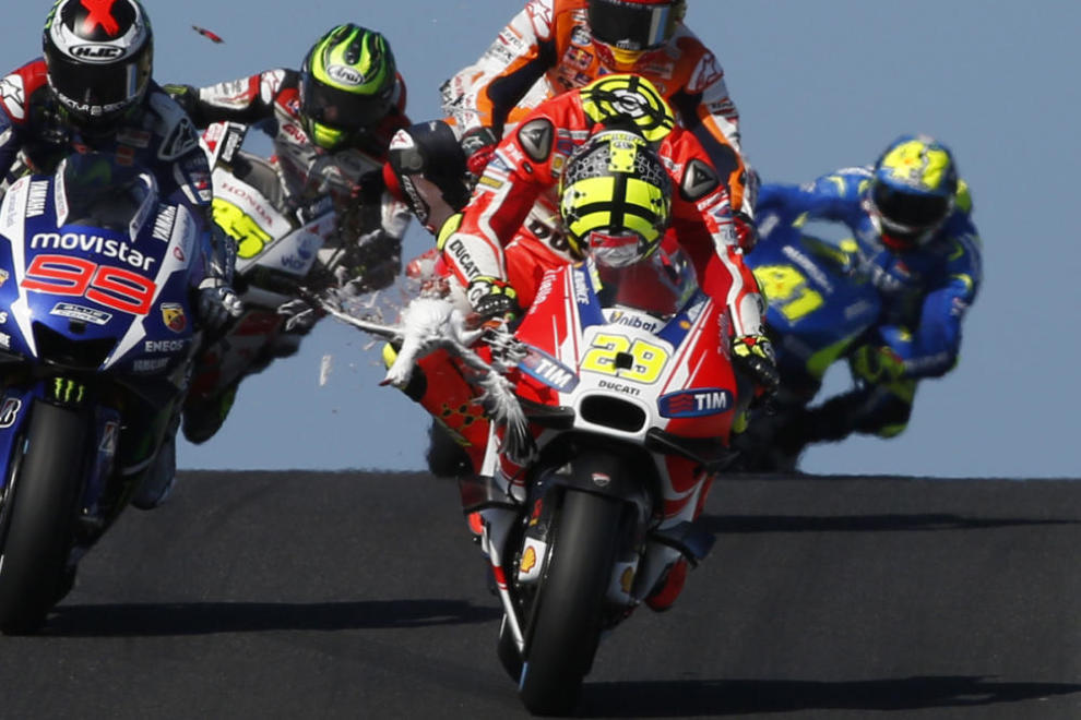 MotoGP Phillip Island