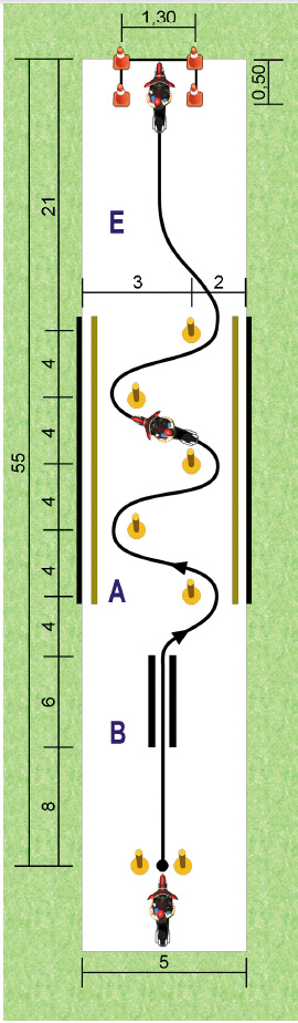 grafico1