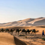Africa Eco Race 2016 21 Africa Eco Race 2016