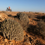 Africa Eco Race 2016 39 Africa Eco Race 2016