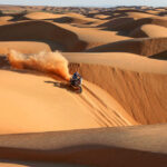 Africa Eco Race 2016 65 Africa Eco Race 2016