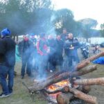 La esencia de Pingüinos en fotos