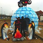 La esencia de Pingüinos en fotos