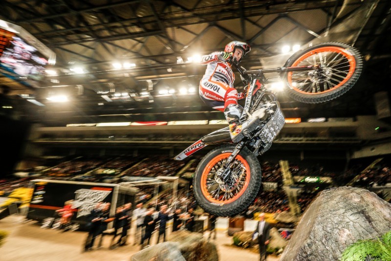 toni bou sheffield