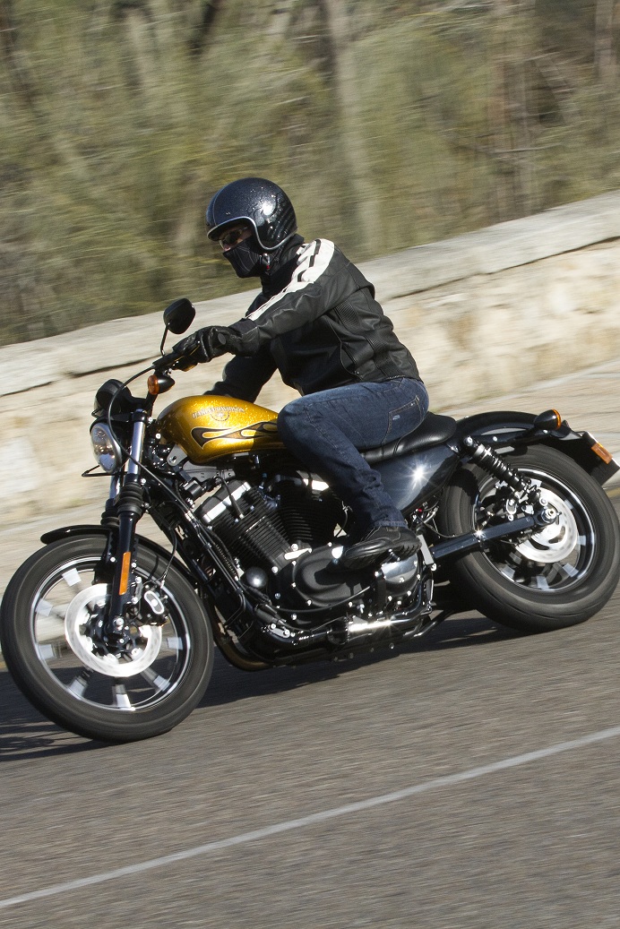 Harley-Davidson Sportster 883 Iron