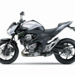 Fotos de la Kawasaki Z800 Estrella Luike 10 Kawasaki Z800