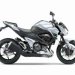Fotos de la Kawasaki Z800 Estrella Luike 16 Kawasaki Z800