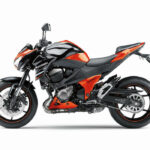 Fotos de la Kawasaki Z800 Estrella Luike 6 Kawasaki Z800