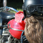 Fotos del Wheels & Waves 2016 115 Festival Wheels & Waves 2016
