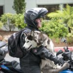 Fotos del viaje por California en moto eléctrica 21 viaje por California en moto eléctrica