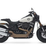 Fotos Harley-Davidson Softail 2018 49 Harley-Davidson Fat Bob 114