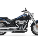 Fotos Harley-Davidson Softail 2018 70 Harley-Davidson Fat Boy 114 115 Aniversario