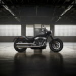 Fotos Harley-Davidson Softail 2018 99 Harley-Davidson Softail Slim