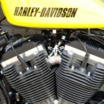 Prueba Harley-Davidson Roadster