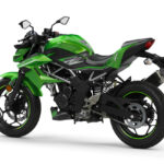 Kawasaki Z 125 2019