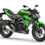 Kawasaki Z 125 2019