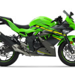 Kawasaki Ninja 125 2019