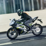 Kawasaki Ninja 125 2019