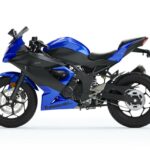 Kawasaki Ninja 125 2019