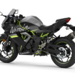 Kawasaki Ninja 125 2019