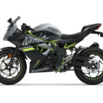 Kawasaki Ninja 125 2019