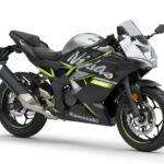 Kawasaki Ninja 125 2019