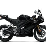 Yamaha YZF-R125 2019