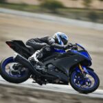 Yamaha YZF-R125 2019