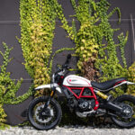 Ducati Scrambler Desert Sled 2019